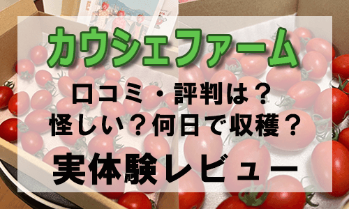 カウシェファーム口コミトップ画像